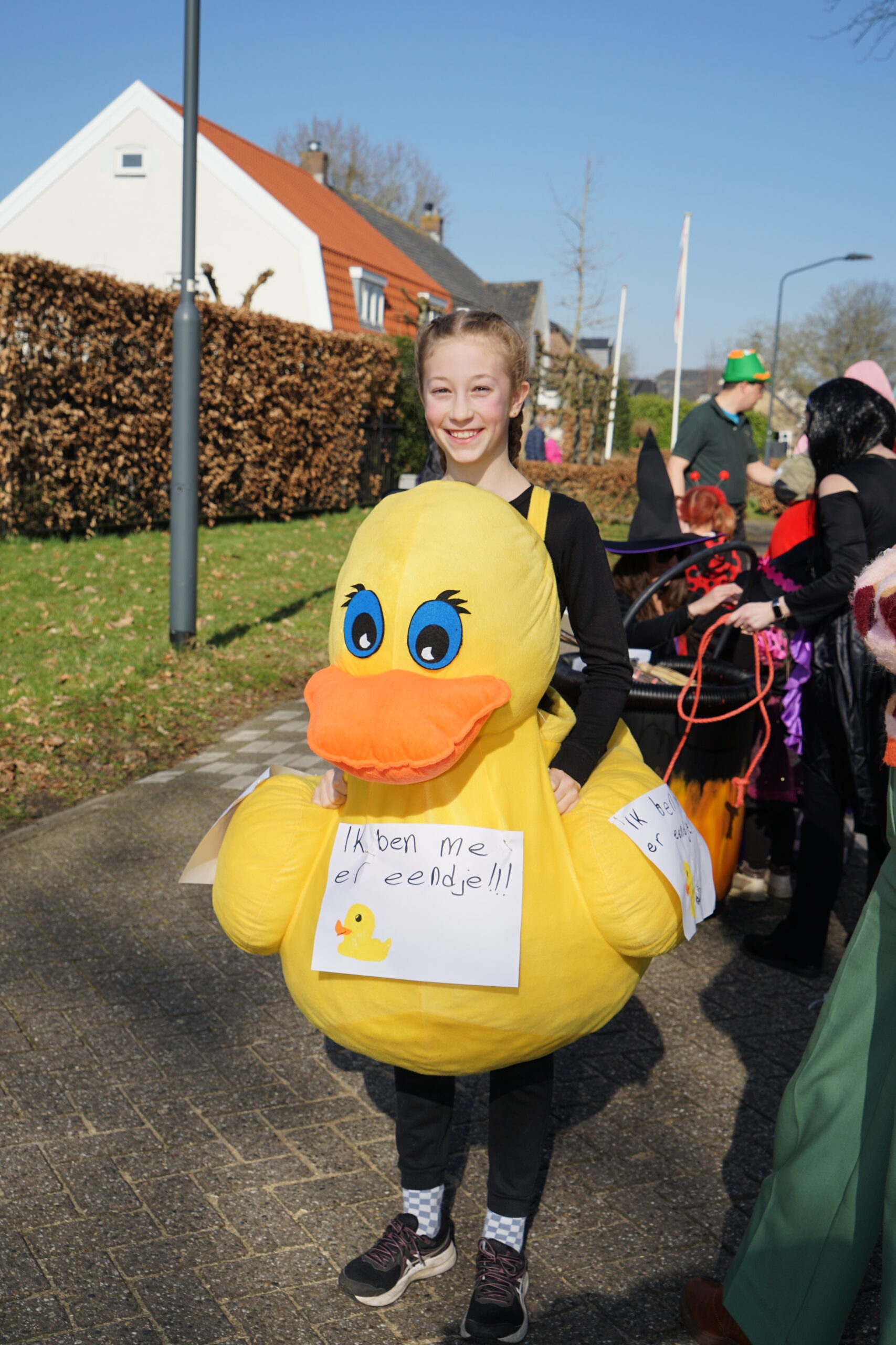Vervangbare foto Optocht